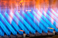 Llandenny Walks gas fired boilers